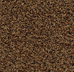 Грязезащитные покрытия Forbo Coral Brush 5716 Masala Brown фото 1 | FLOORDEALER